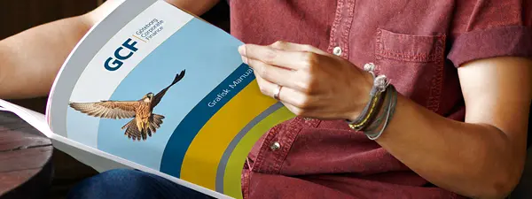 Grafisk strategi – referenser